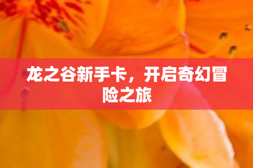 龙之谷新手卡，开启奇幻冒险之旅