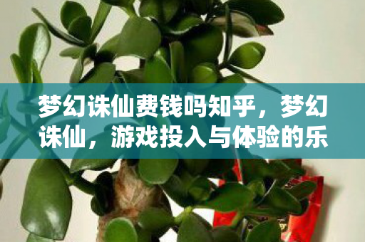 梦幻诛仙费钱吗知乎，梦幻诛仙，游戏投入与体验的乐趣