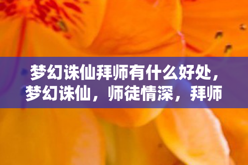 梦幻诛仙拜师有什么好处，梦幻诛仙，师徒情深，拜师之路的启示
