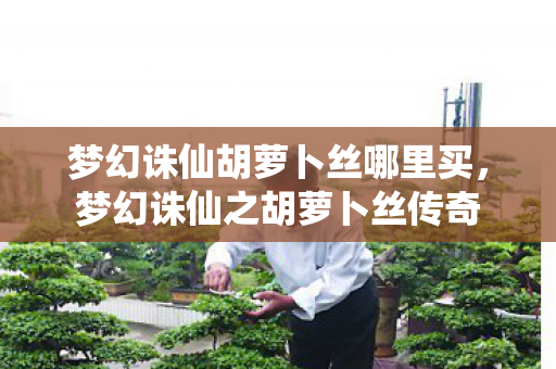 梦幻诛仙胡萝卜丝哪里买，梦幻诛仙之胡萝卜丝传奇