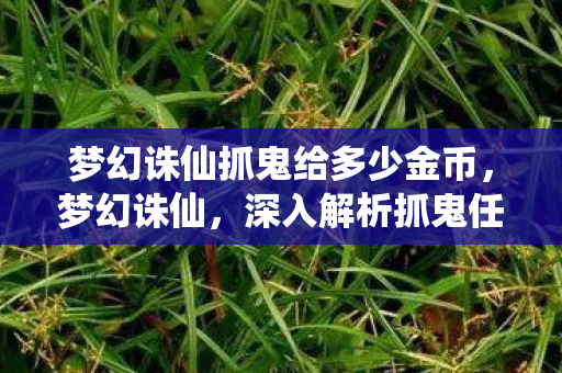 梦幻诛仙抓鬼给多少金币，梦幻诛仙，深入解析抓鬼任务