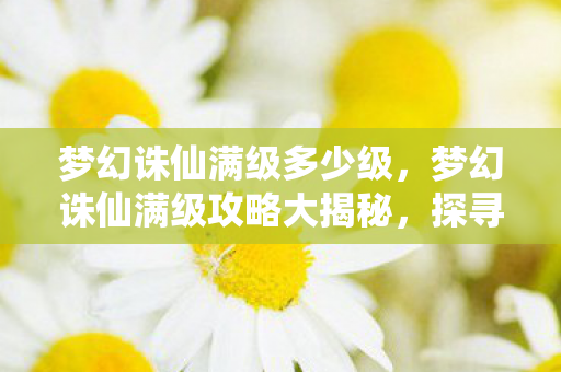 梦幻诛仙满级多少级，梦幻诛仙满级攻略大揭秘，探寻角色成长的极致境界