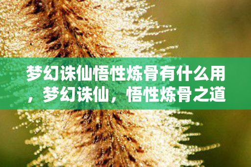 梦幻诛仙悟性炼骨有什么用，梦幻诛仙，悟性炼骨之道