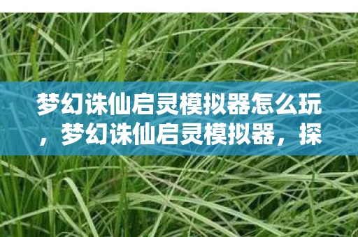 梦幻诛仙启灵模拟器怎么玩，梦幻诛仙启灵模拟器，探索未知世界的神秘之旅