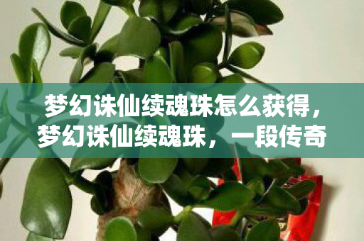 梦幻诛仙续魂珠怎么获得，梦幻诛仙续魂珠，一段传奇的续写