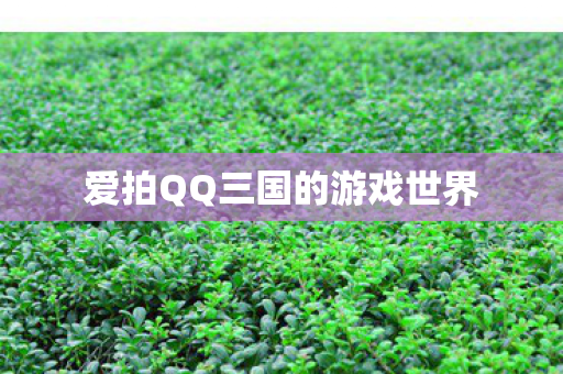 爱拍QQ三国的游戏世界