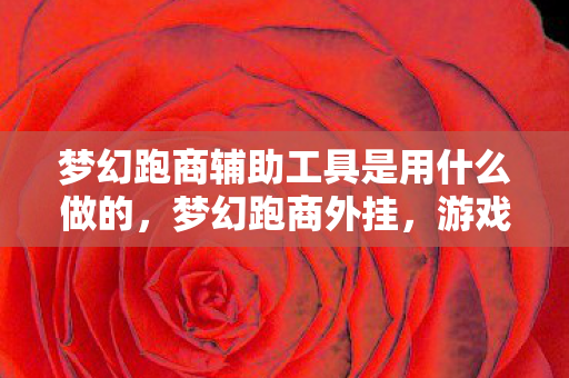 梦幻跑商辅助工具是用什么做的，梦幻跑商外挂，游戏世界的双刃剑