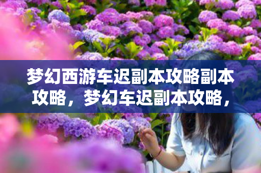 梦幻西游车迟副本攻略副本攻略，梦幻车迟副本攻略，轻松通关的秘诀