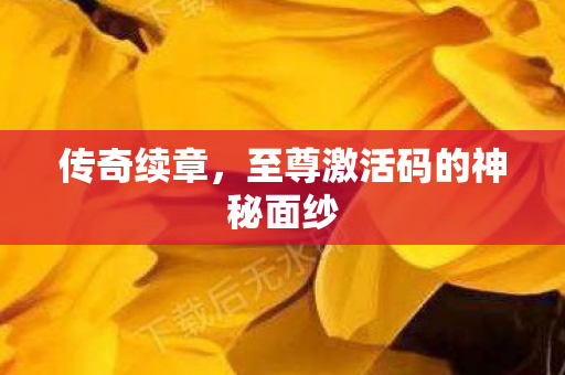 传奇续章，至尊激活码的神秘面纱