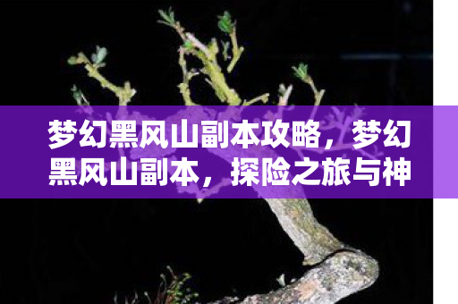 梦幻黑风山副本攻略，梦幻黑风山副本，探险之旅与神秘宝藏的完美结合