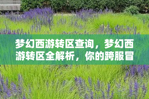 梦幻西游转区查询，梦幻西游转区全解析，你的跨服冒险之旅指南