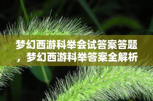 梦幻西游科举会试答案答题，梦幻西游科举答案全解析，从初试到殿试的答题攻略