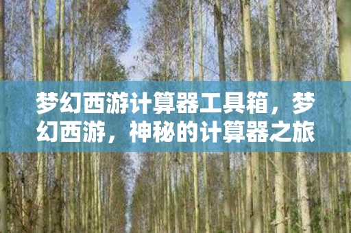 梦幻西游计算器工具箱，梦幻西游，神秘的计算器之旅