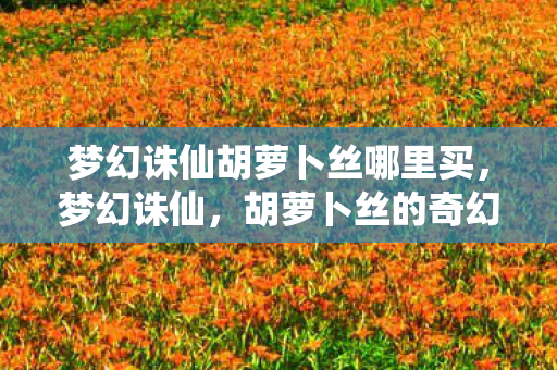 梦幻诛仙胡萝卜丝哪里买，梦幻诛仙，胡萝卜丝的奇幻之旅