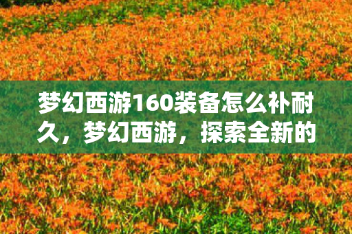 梦幻西游160装备怎么补耐久，梦幻西游，探索全新的160装备系统
