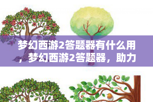 梦幻西游2答题器有什么用，梦幻西游2答题器，助力你的游戏冒险之旅