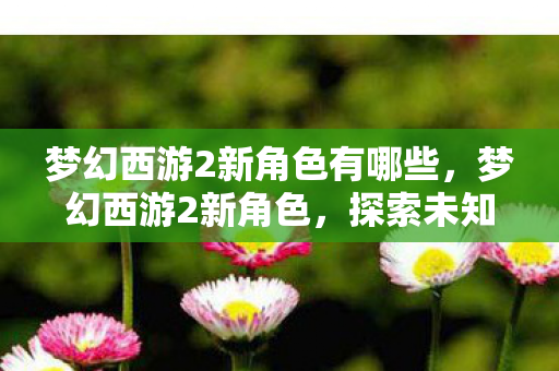 梦幻西游2新角色有哪些，梦幻西游2新角色，探索未知领域，启程全新冒险之旅