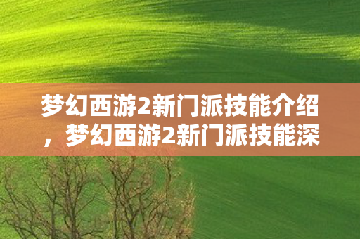 梦幻西游2新门派技能介绍，梦幻西游2新门派技能深度解析