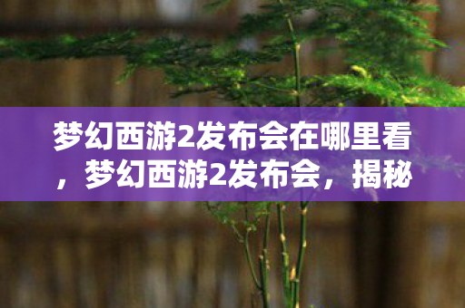 梦幻西游2发布会在哪里看，梦幻西游2发布会，揭秘全新游戏内容与未来展望