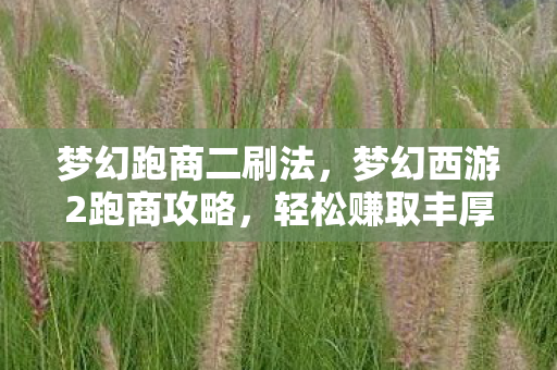 梦幻跑商二刷法，梦幻西游2跑商攻略，轻松赚取丰厚利润