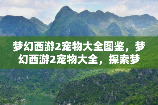 梦幻西游2宠物大全图鉴，梦幻西游2宠物大全，探索梦幻世界的神秘伙伴