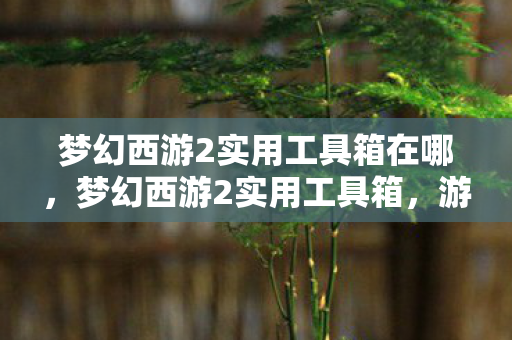 梦幻西游2实用工具箱在哪，梦幻西游2实用工具箱，游戏助手助你轻松玩转西游世界