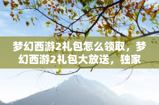 梦幻西游2礼包怎么领取，梦幻西游2礼包大放送，独家福利等你来领！