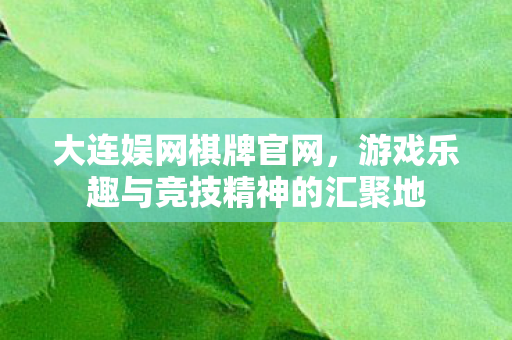 大连娱网棋牌官网，游戏乐趣与竞技精神的汇聚地