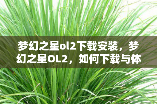 梦幻之星ol2下载安装，梦幻之星OL2，如何下载与体验这款备受瞩目的游戏