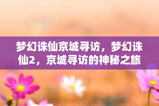 梦幻诛仙京城寻访，梦幻诛仙2，京城寻访的神秘之旅