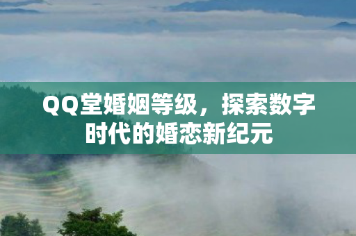 QQ堂婚姻等级,探索数字时代的婚恋新纪元 QQ堂婚姻等级,探索数字时代的婚恋新纪元
