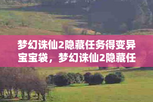 梦幻诛仙2隐藏任务得变异宝宝袋，梦幻诛仙2隐藏任务深度解析，探寻神秘世界的秘密之旅
