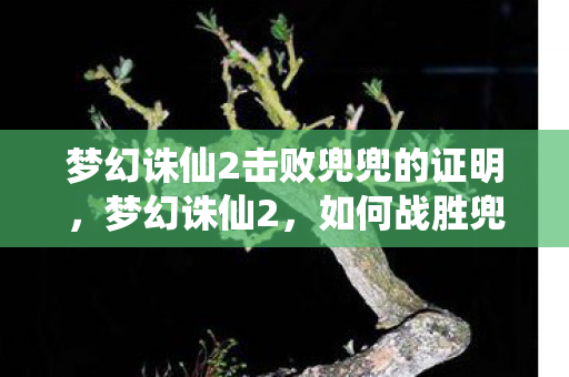 梦幻诛仙2击败兜兜的证明，梦幻诛仙2，如何战胜兜兜攻略详解