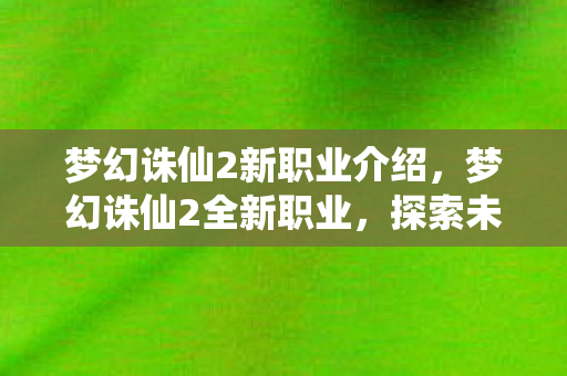 梦幻诛仙2新职业介绍，梦幻诛仙2全新职业，探索未知领域，引领时代风潮