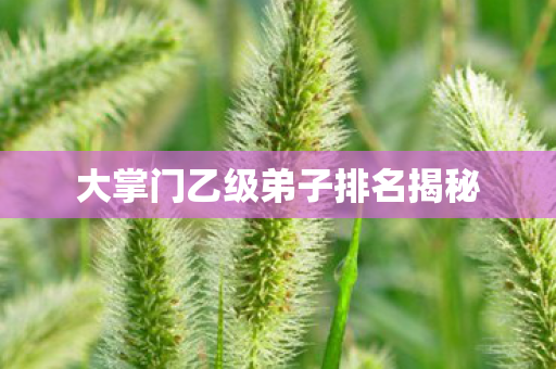 大掌门乙级弟子排名揭秘