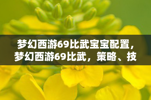梦幻西游69比武宝宝配置，梦幻西游69比武，策略、技巧与荣耀之战