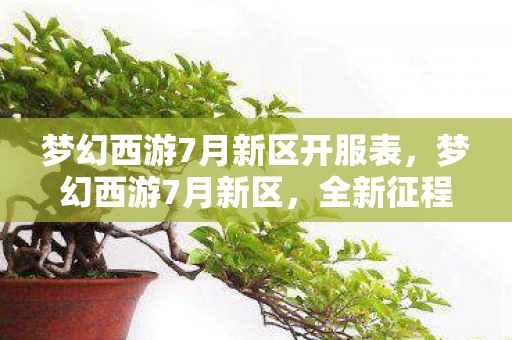 梦幻西游7月新区开服表，梦幻西游7月新区，全新征程，等你来战！