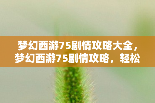 梦幻西游75剧情攻略大全，梦幻西游75剧情攻略，轻松通关，获取丰厚奖励！