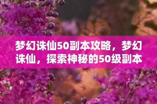梦幻诛仙50副本攻略，梦幻诛仙，探索神秘的50级副本之旅