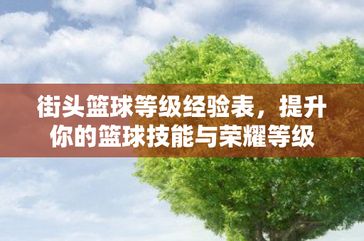街头篮球等级经验表，提升你的篮球技能与荣耀等级