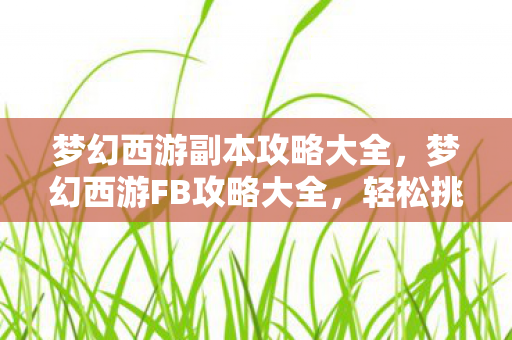 梦幻西游副本攻略大全，梦幻西游FB攻略大全，轻松挑战副本，赢取丰厚奖励！
