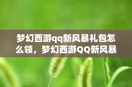 梦幻西游qq新风暴礼包怎么领，梦幻西游QQ新风暴礼包，游戏狂欢，独家福利大放送！