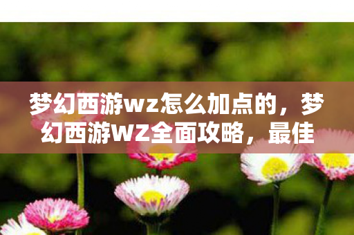 梦幻西游wz怎么加点的，梦幻西游WZ全面攻略，最佳加点方案揭秘
