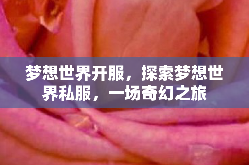 梦想世界开服，探索梦想世界私服，一场奇幻之旅
