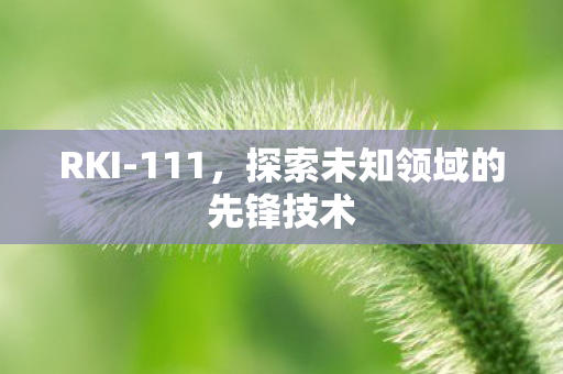 RKI-111，探索未知领域的先锋技术