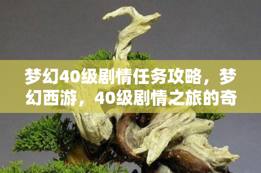 梦幻40级剧情任务攻略，梦幻西游，40级剧情之旅的奇幻之旅