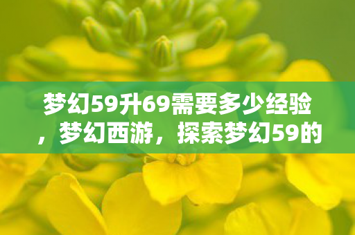 梦幻59升69需要多少经验，梦幻西游，探索梦幻59的魅力与策略