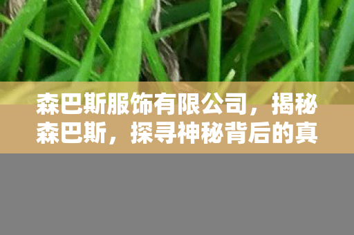 森巴斯服饰有限公司，揭秘森巴斯，探寻神秘背后的真相