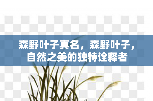 森野叶子真名，森野叶子，自然之美的独特诠释者