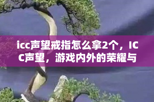 icc声望戒指怎么拿2个，ICC声望，游戏内外的荣耀与追求